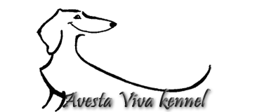 Avesta Viva kennel
